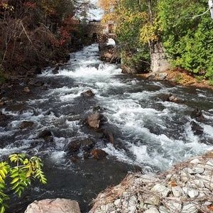 Meet your Posher, Barb